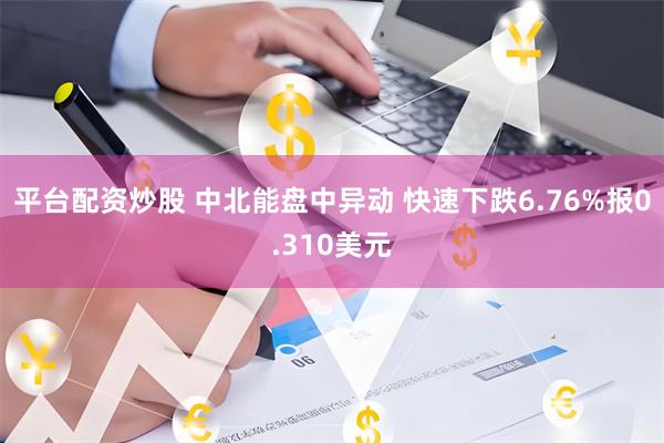 平台配资炒股 中北能盘中异动 快速下跌6.76%报0.310美元