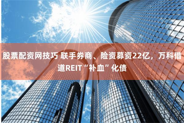 股票配资网技巧 联手券商、险资募资22亿，万科借道REIT“补血”化债